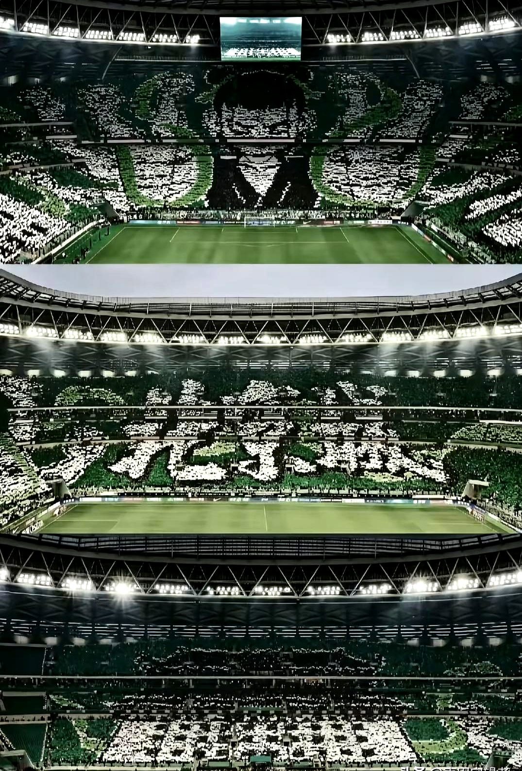 炮高兵必胜士象全视频 炮高兵必胜士象全视频