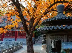 包含北京国安豪取主场胜利,积分上升至第三位的词条 包含北京国安豪取主场胜利,积分上升至第三位的词条